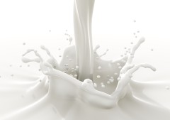 Гидролизованные протеины молока 20%