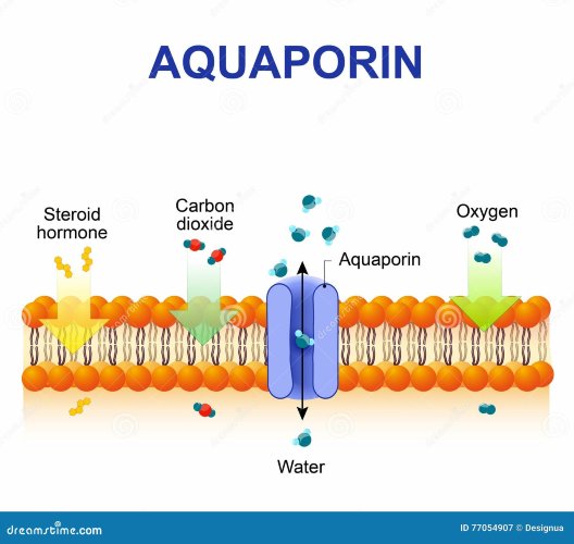 Hydagen Aquaporin /Хидаген Аквапорин